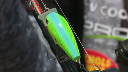 Bank Bass Fishing with Crankbaits with Drew Cook | Bass Fishing