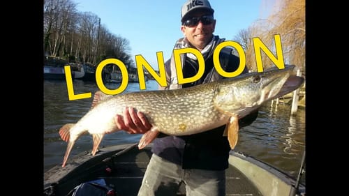 Fish My City LONDON Recap