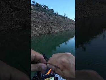 When the bite gets tough, slow it down 🎣 Snap my Neko weight head = 1/32 oz finesse! #BassUnion