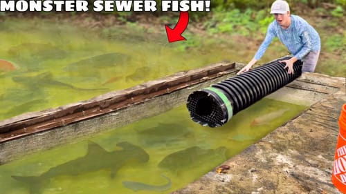 Trapping MONSTER Sharks and Piranhas in SEWER!
