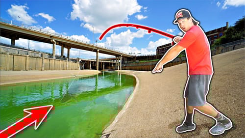 Sight Fishing GIANT Fish in an Urban Canal!! (Unvelievable)