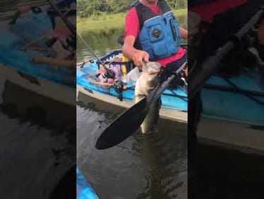 Release of MASSIVE kayak BASS. #shorts SUBSCRIBE