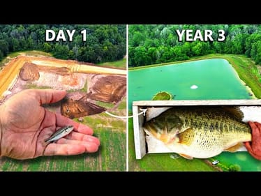 We Added Bass to the 5 Acre Pond 3 Years Ago (Surprising Results)