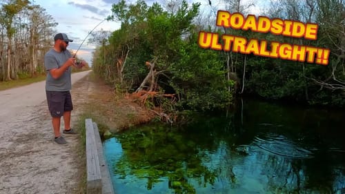 Uncut Ultralight Fishing in a SWAMP!!