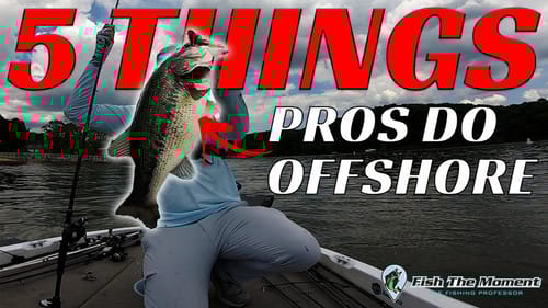 What Good Offshore Anglers Do and You Should Copy! | Simple Offshore Bass Fishing Tips