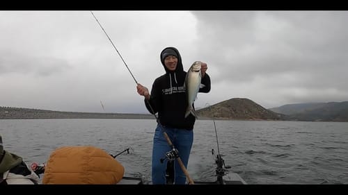 Surprise Catch at Silverwood Lake! (New Species!)