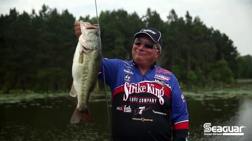 Pitching - The Essentials | Bass Fishing