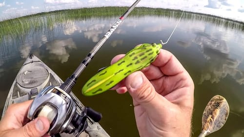 Do Bass Like Pickles?