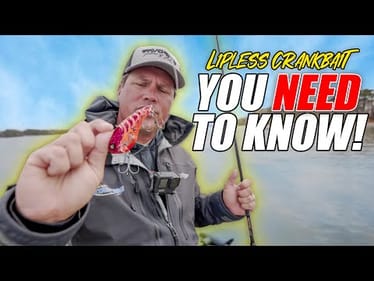 A Lipless Crankbait Tip YOU NEED TO KNOW!
