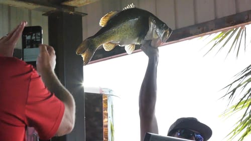 SHOW ME YOUR BIG BASS!