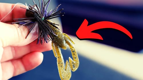 One Of The DEADLIEST Techniques To Catch BASS (ft. Special Guest)