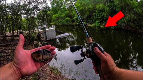 This Fish SHOULD NOT Be In Here! (Not Good)
