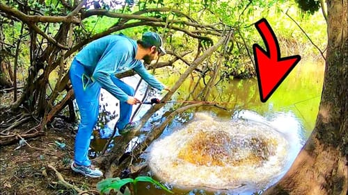 WHAT LIVES in the MOST DANGEROUS CREEK in the WORLD?? (I’M SCARED)