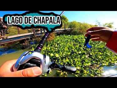 First Time Fishing in Mexico(Fipsed 2025 World Championship)