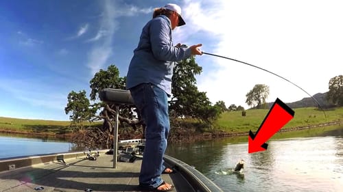 Sight Fishing Tips For Spawning Bass