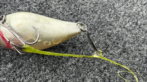 Dealing With Slime On Your Lures