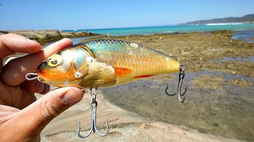 UGLIEST Fishing Lure Ever gets DESTROYED by Savage Fish!!!