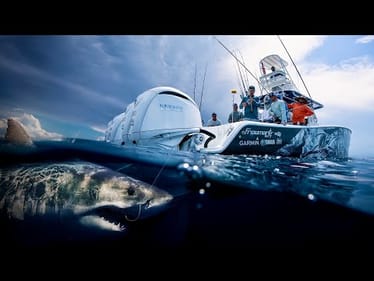 MASSIVE Shark Caught on the Vice Versa!