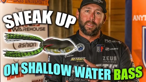 Stop LOSING BASS : Noise SCARES FISH