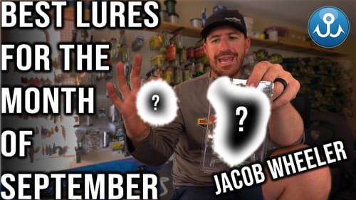Best Bass Fishing Lures for September