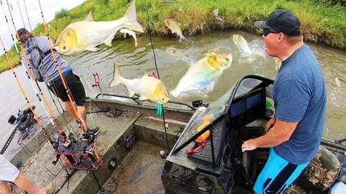 INVASIVE FISH JUMPING OUT OF THE WATER!! (INSANE)