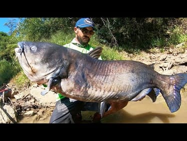 The FISH OF MY DREAMS from a TINY CREEK!!