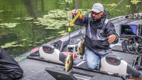 How to Catch Bass in Rivers - Current Fishing Secrets