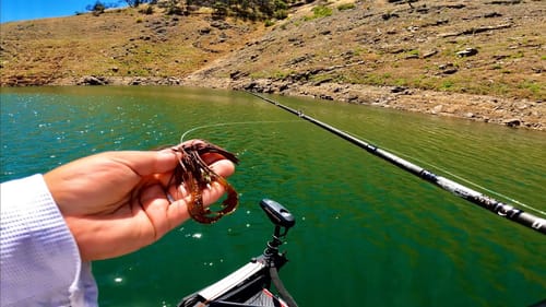 Stroking Finesse Football Jigs For Stubborn Post Spawn Summer Bass | Maiden Voyage In My NEW BOAT!!!