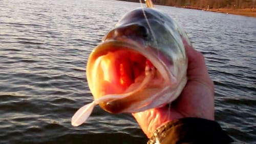 Hydrowave Bass Fishing at Dreamstrike Lake.