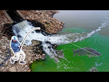 The COOLEST Fish I've EVER Caught!!! (Hunting for a 100lb Catfish!)