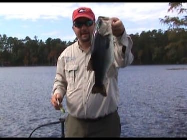 Squarebill Crankbaits make a great day of fishing