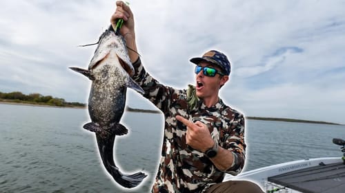 Fishing the Fall Transition | Everything Eating Shad!