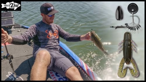 How to Use Texas-Rigged Plastics as Search Baits