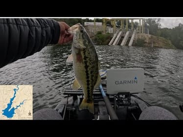 FOLSOM LAKE 50 FISH DAY BASS FISHING-MAY 2025