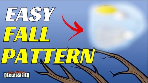The Best Tips For Catching Fall Spinnerbait Fish