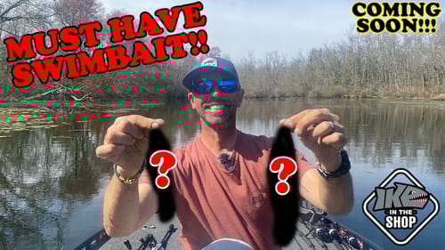 MUST HAVE Brand NEW Swimbait!!!