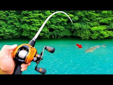 I Went Fishing for Whatever Bites! (4 Species)