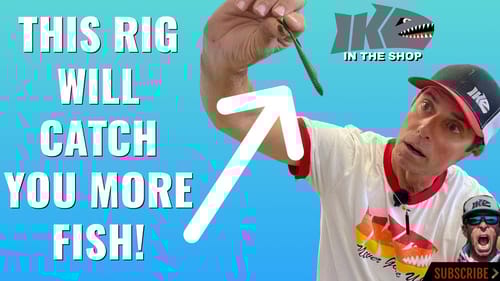 THIS Secret Rig will CATCH You MORE FISH!