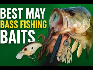 5 Baits for the Month of May - Bass Fishing