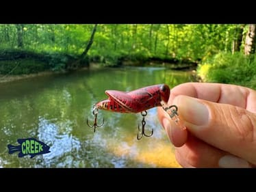 Tiny Wild Stream Ultralight Fishing