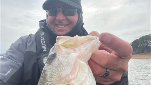 Bassmaster Open/Cherokee Lake…Day 2 Practice Report