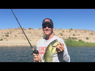 The 3 Most Productive Zoom Baits!