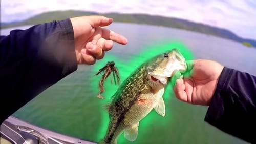 I Will Take a Jig Bite Any Day!