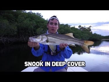 Skipping Mangroves for Snook