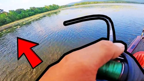 Fishing Grass on Lake Guntersville in the Summer!