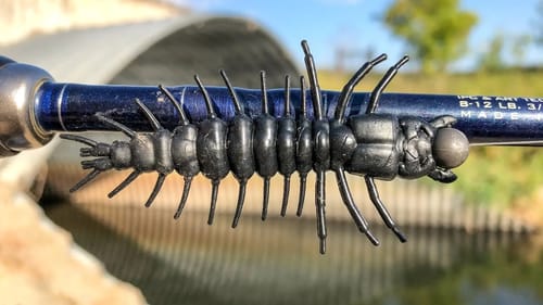Hellgrammite Fishing For Culvert Chunks!