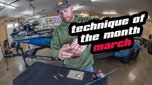 Technique Of The Month | March | Shallow Offshore Fishing