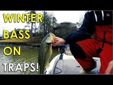 Throwing Lipless Crankbaits in 2ft of Water for Winter Bass!