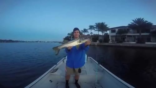 small topwater snook