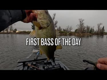 CAST TO CATCH: FIRST BASS OF THE DAY #shorts #fishing